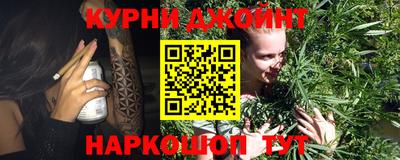 крисы Коммунар