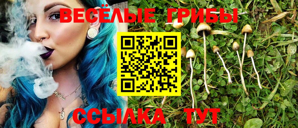 Галлюциногенные грибы ЛСД Киселёвск